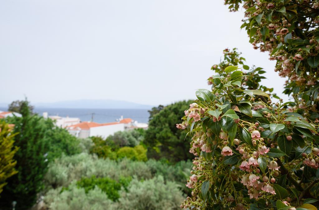 Kyveli Hotel Apartments Vrontados Экстерьер фото