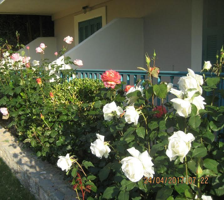 Kyveli Hotel Apartments Vrontados Экстерьер фото
